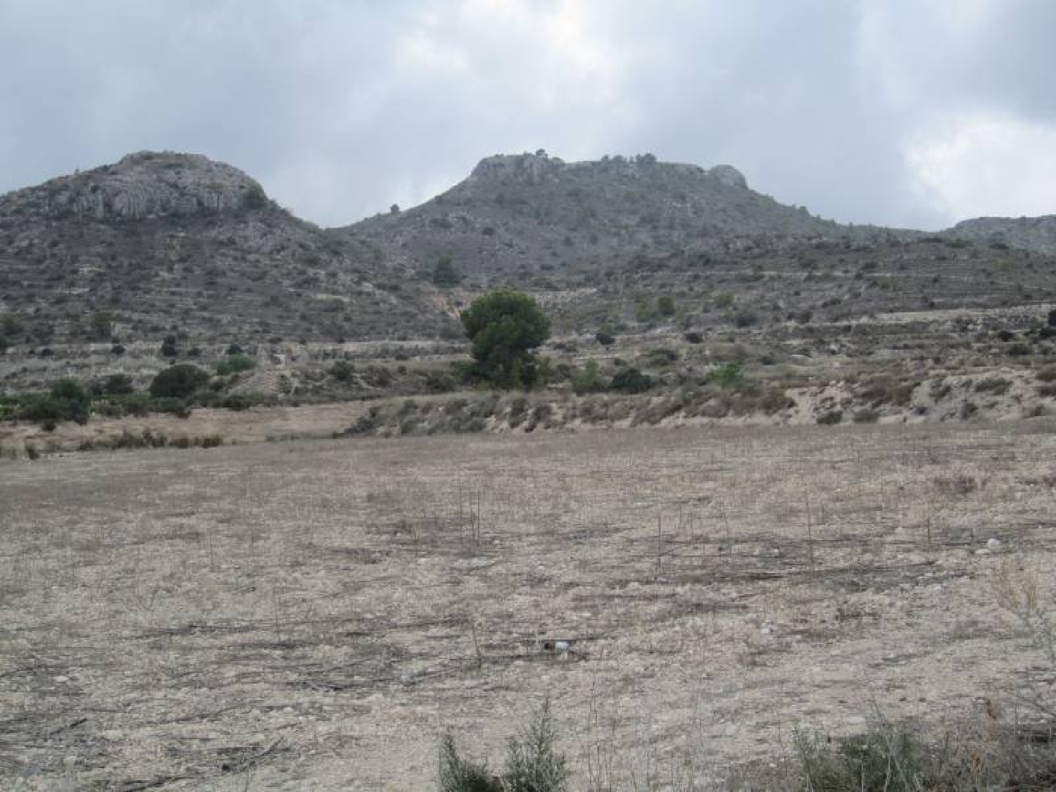  till salu tomt Els Montesinos Vinalopó Mitjà 7
