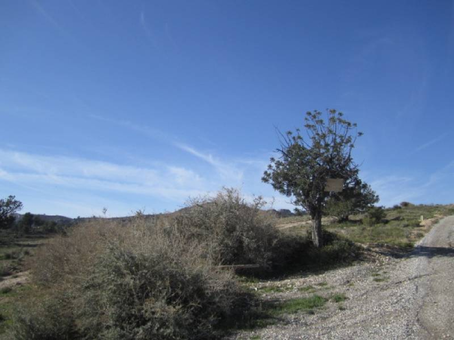 till salu tomt Els Montesinos Vinalopó Mitjà 3