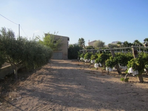 Els Montesinos Vinalopó Mitjà tomt foto 6226751