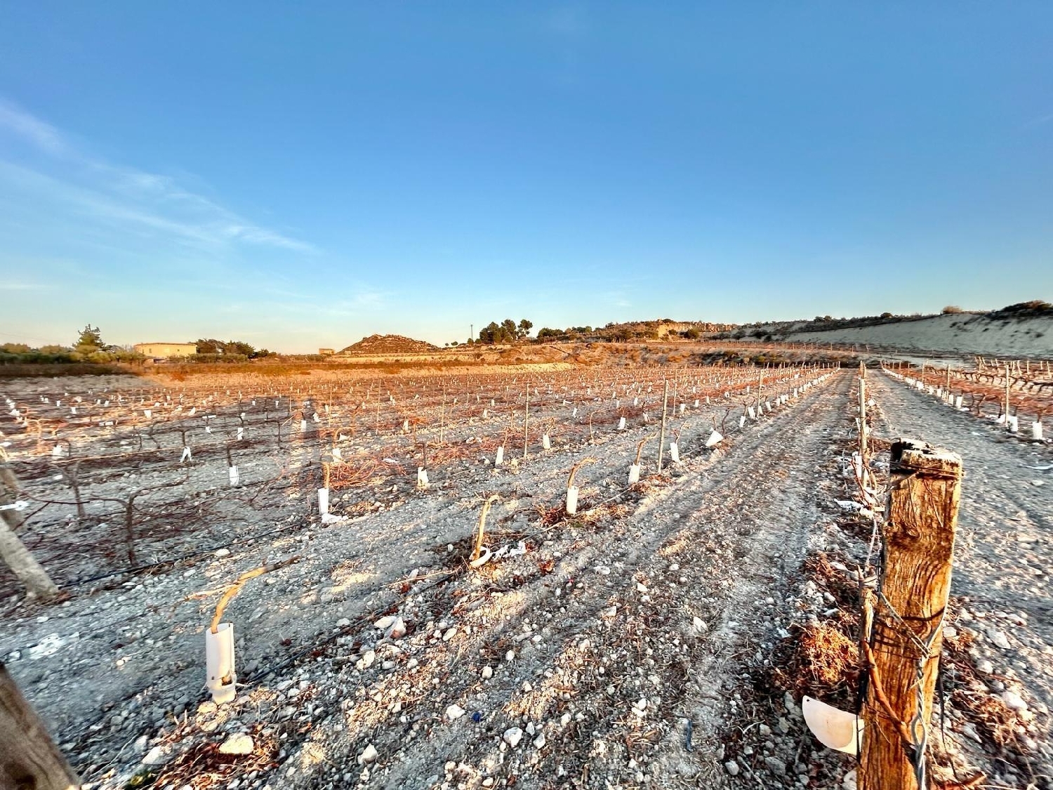  till salu tomt La Estacion Vinalopó Mitjà 4