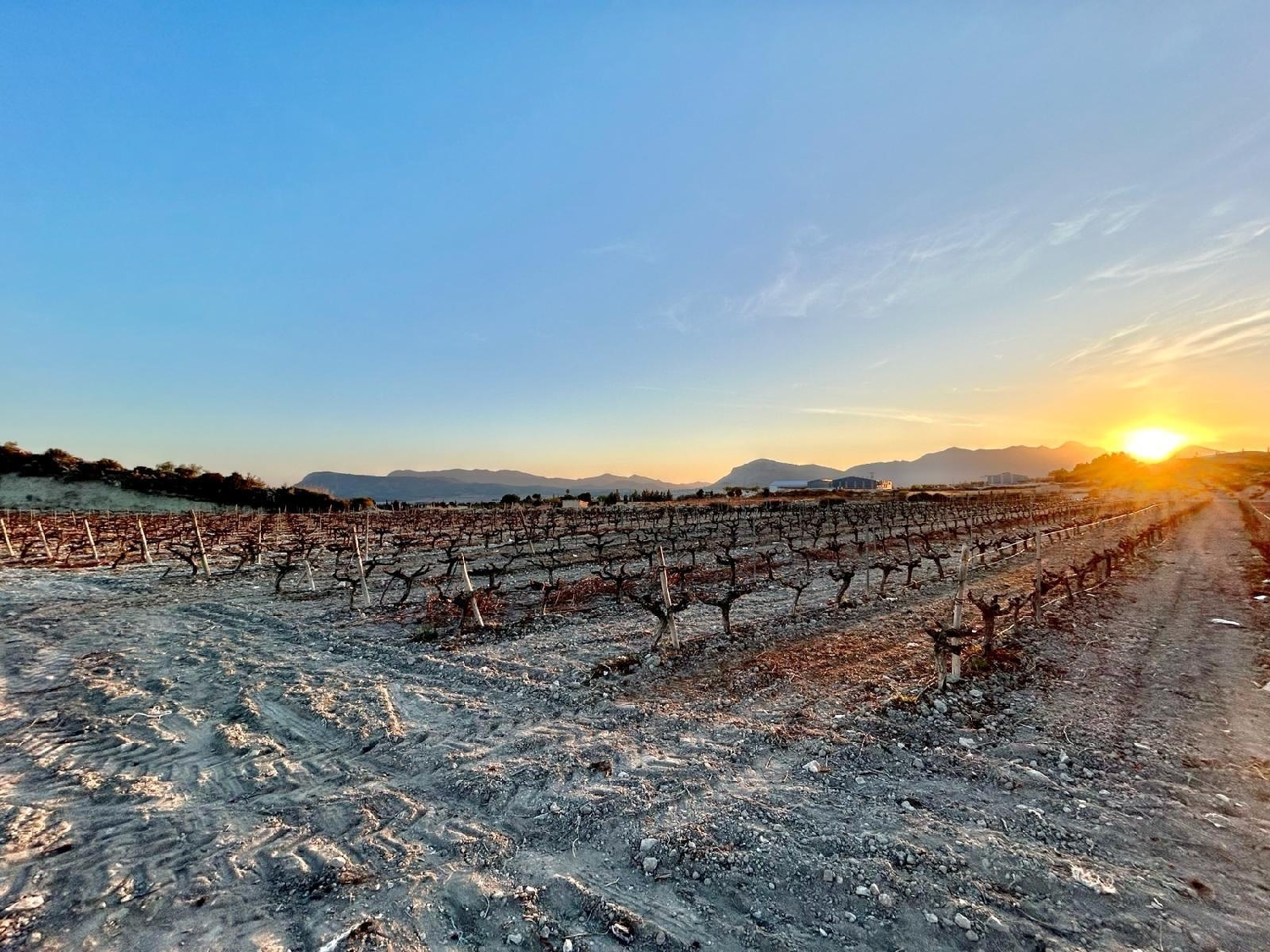  till salu tomt La Estacion Vinalopó Mitjà 6