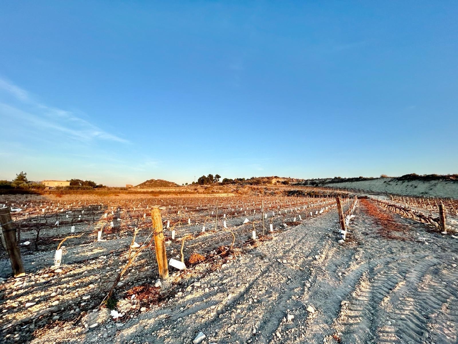till salu tomt La Estacion Vinalopó Mitjà 3