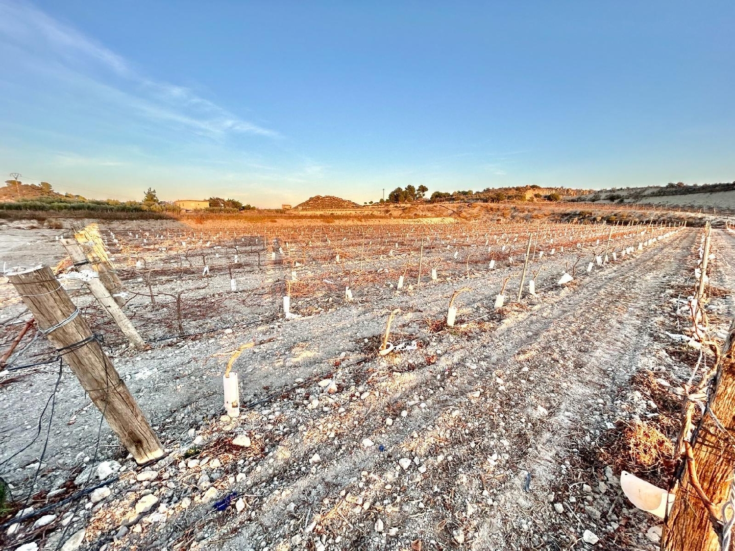  till salu tomt La Estacion Vinalopó Mitjà 5