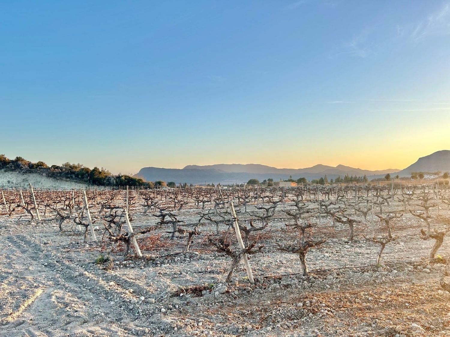  till salu tomt La Estacion Vinalopó Mitjà 1