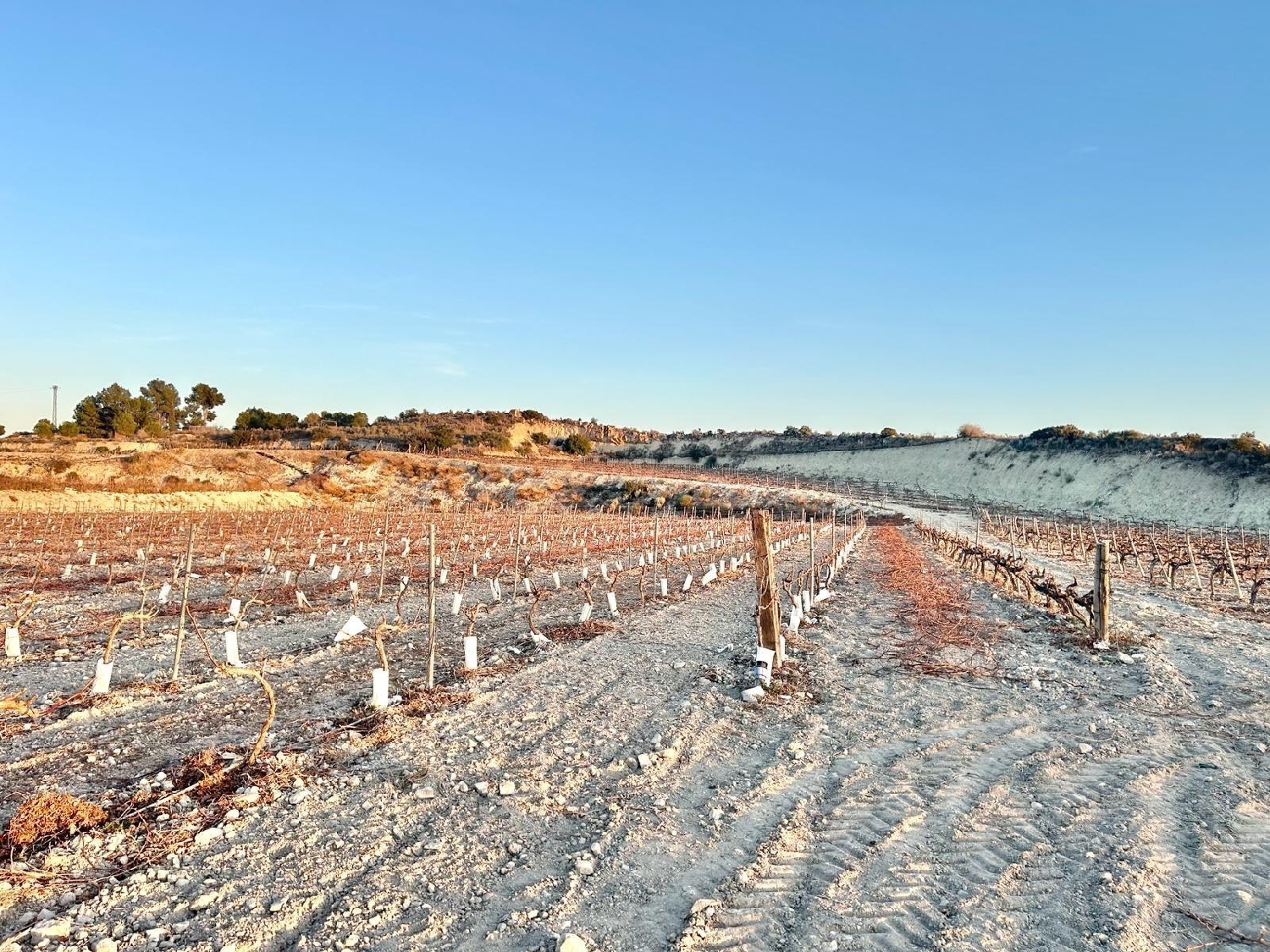 till salu tomt La Estacion Vinalopó Mitjà 2