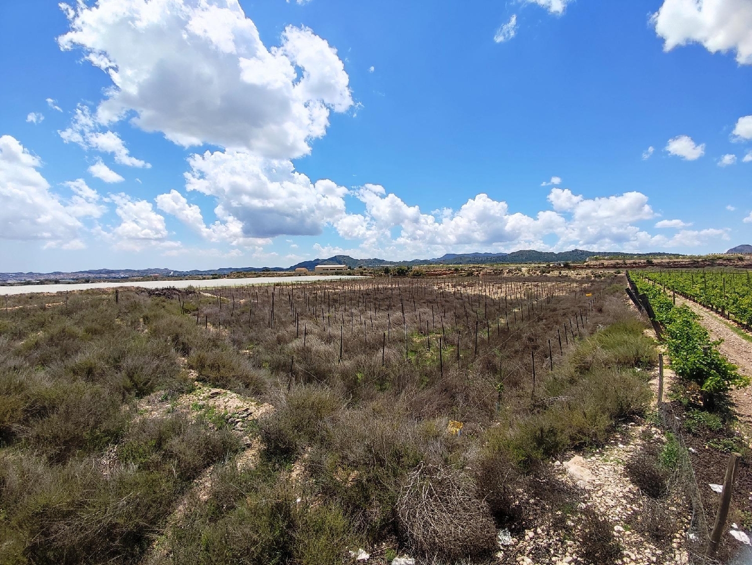  till salu tomt La Estacion Vinalopó Mitjà 7