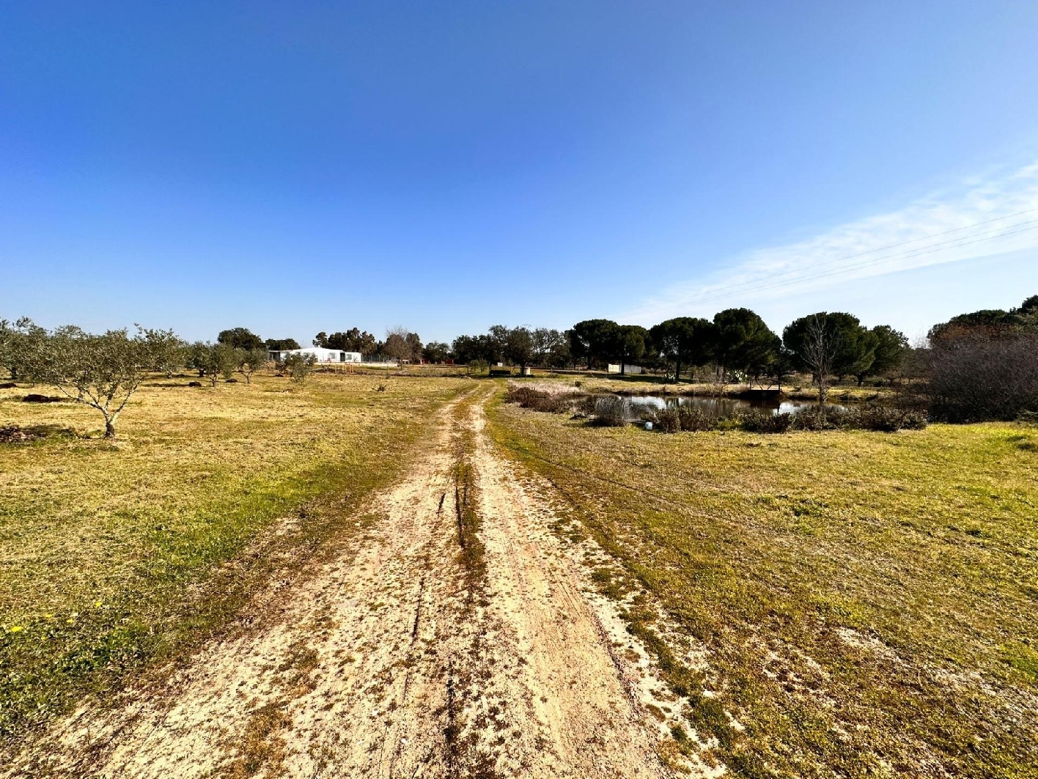 till salu tomt La Estación-Elvas-Norte Badajoz 2