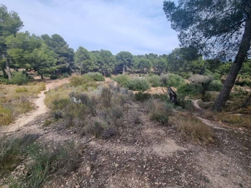 La Estrada Marina Baixa tomt foto 6265276