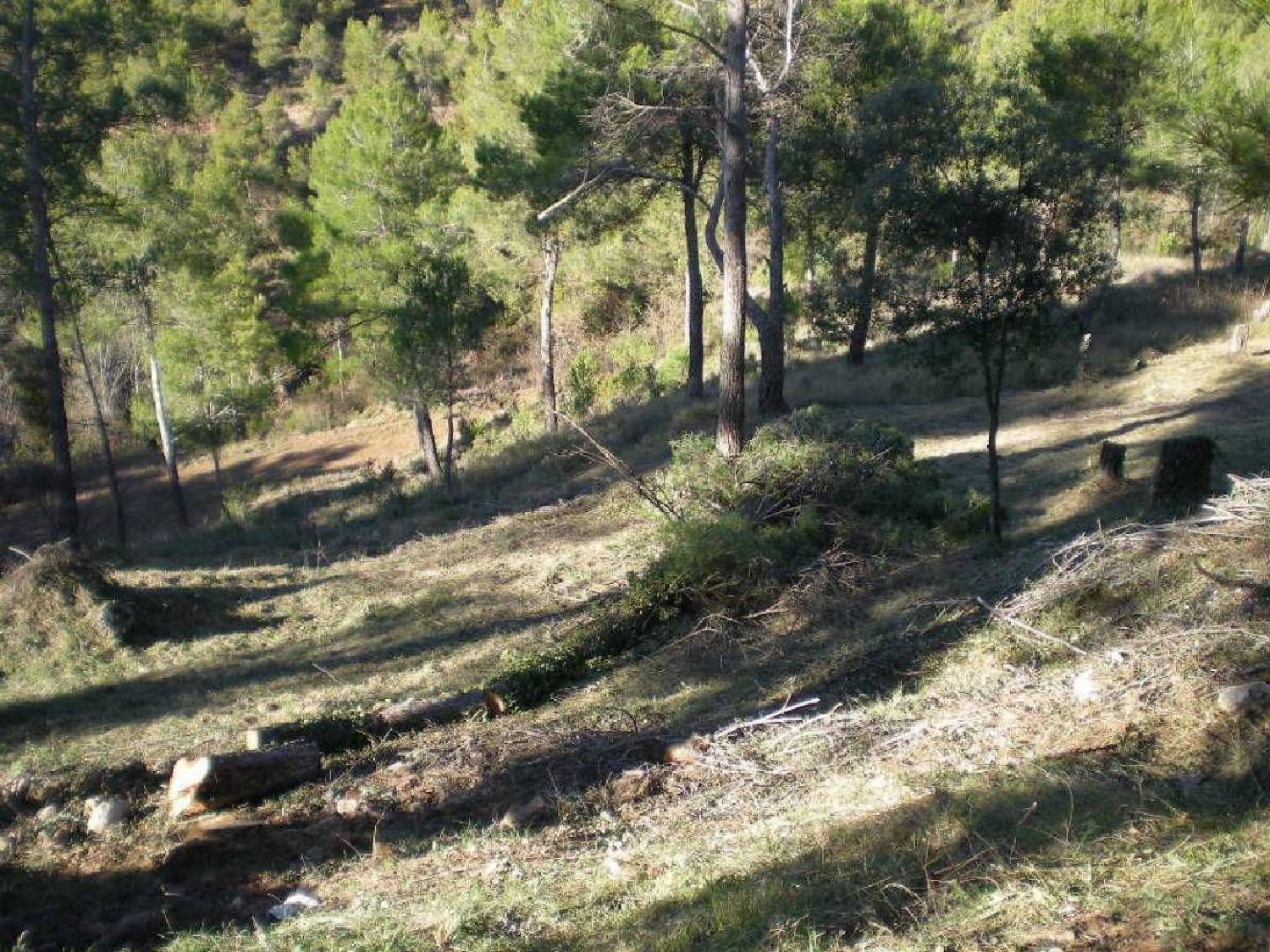  till salu tomt La Figuerola Bages 1