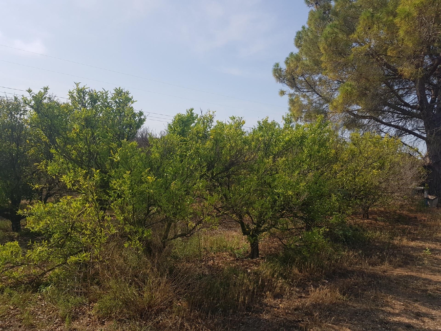  till salu tomt La Galera Montsià 1