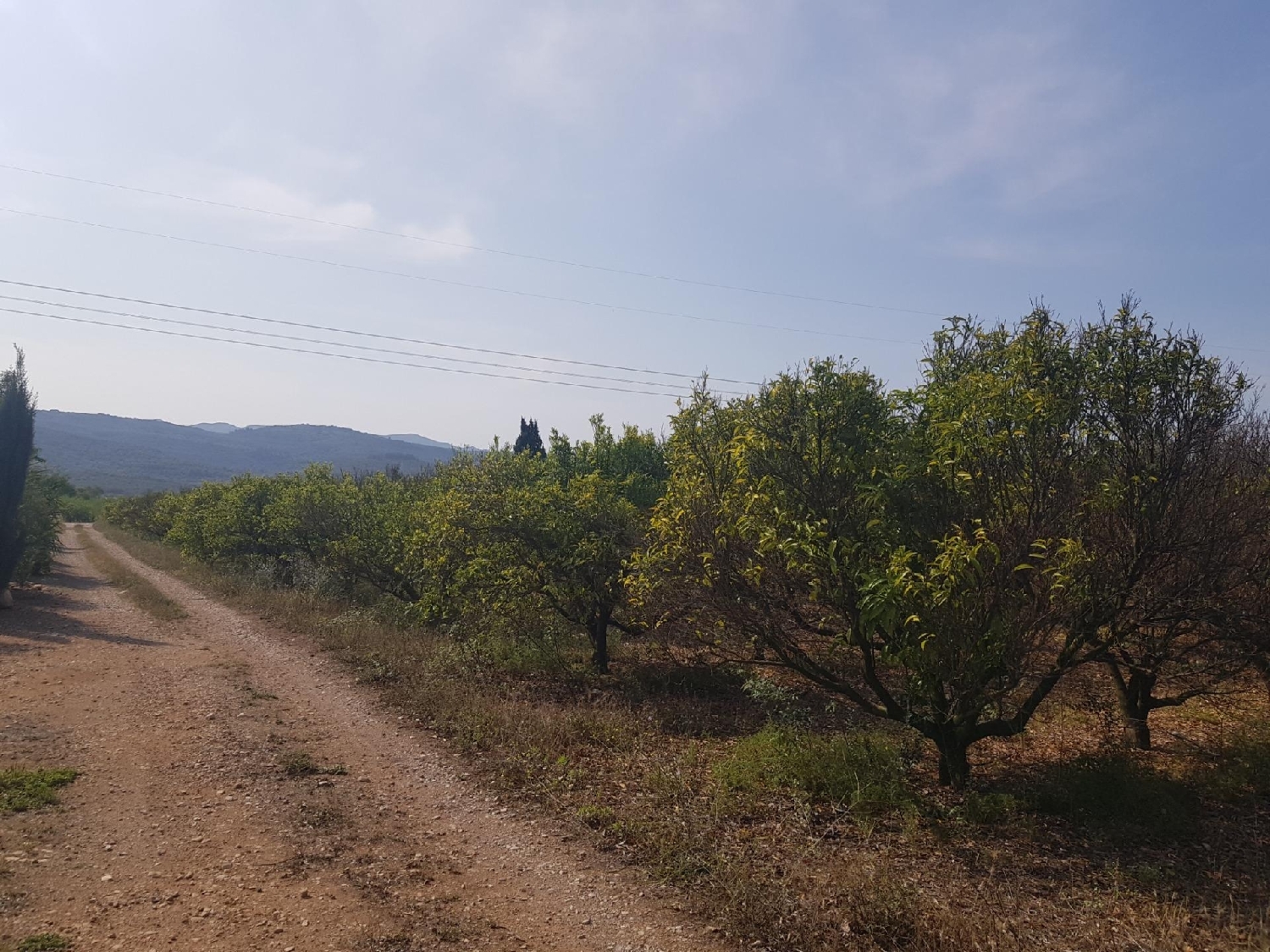 till salu tomt La Galera Montsià 2