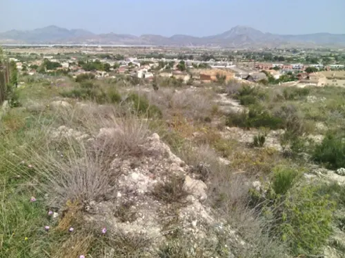 Mutxamel Alacantí tomt foto 6192416