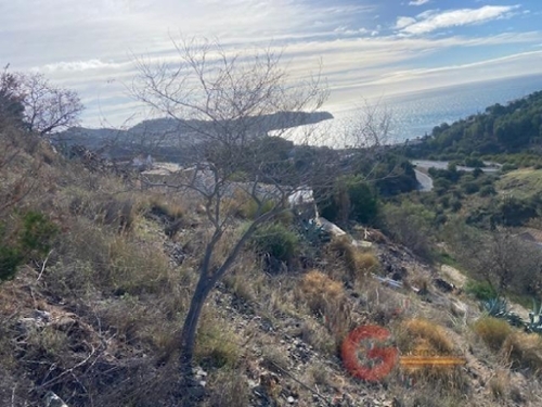 La Herradura Costa Tropical tomt foto 6255876
