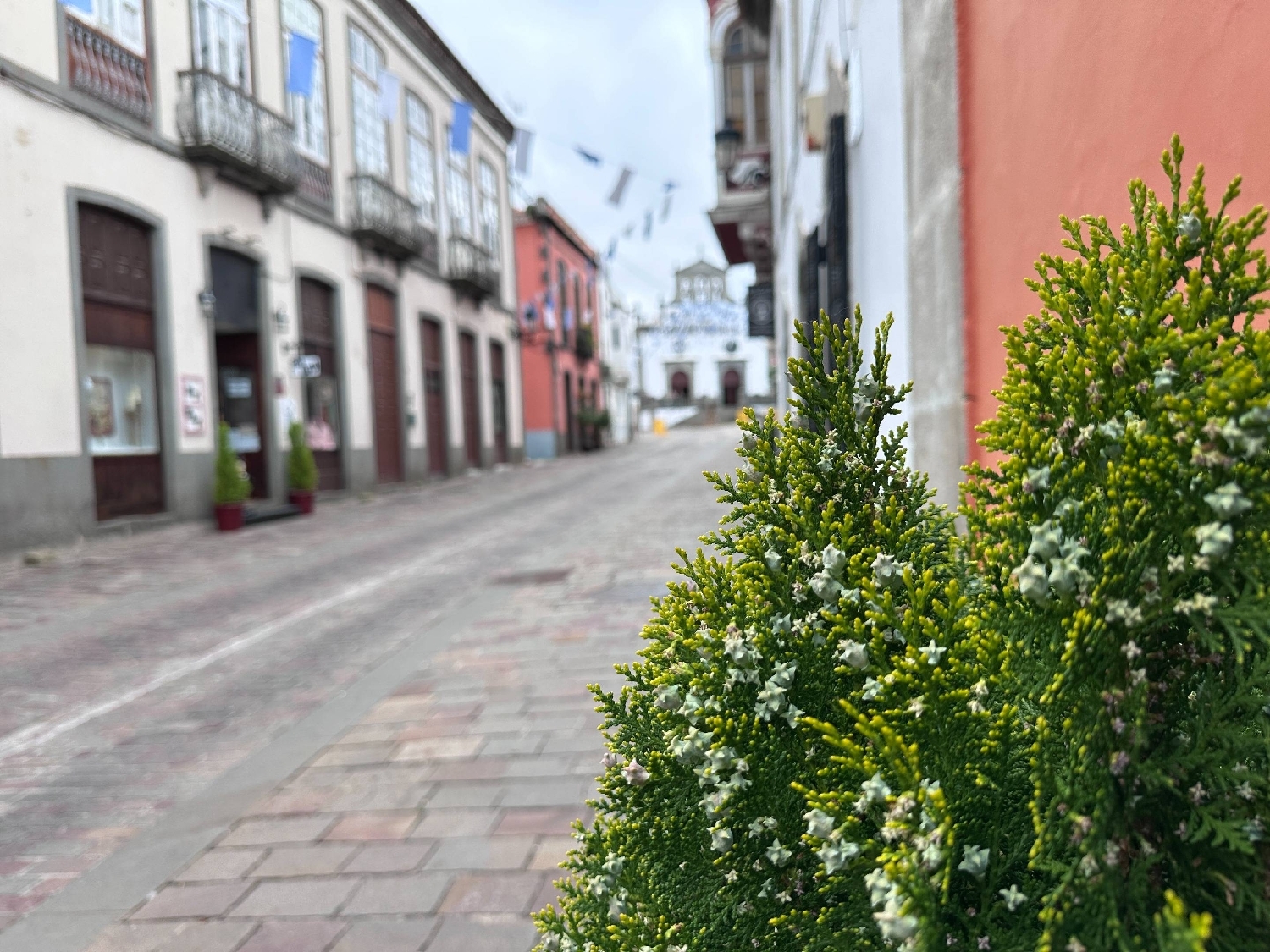 till salu tomt La Higuera Área Centro 3