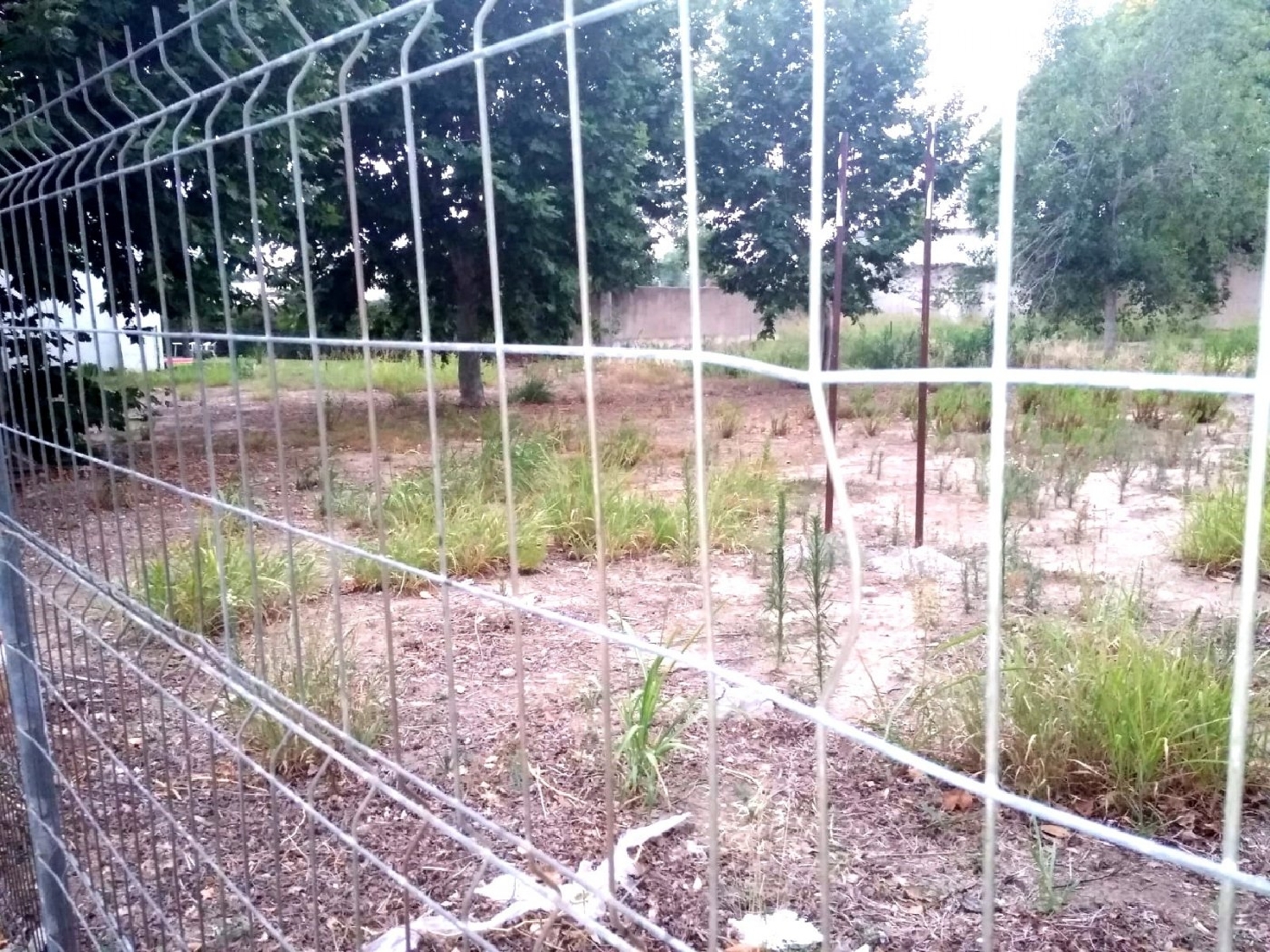  till salu tomt La Llosa Baix Camp 5