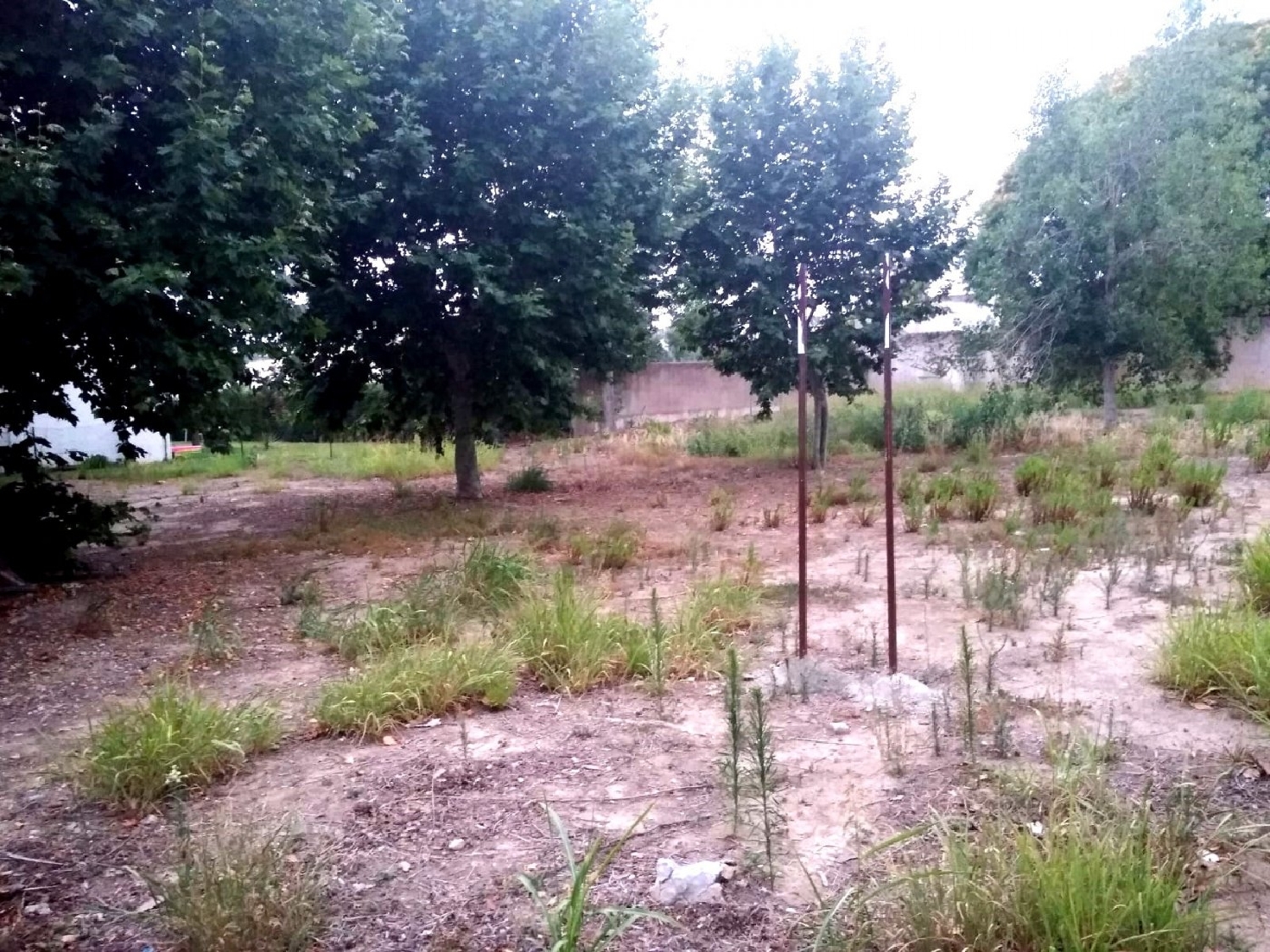  till salu tomt La Llosa Baix Camp 1