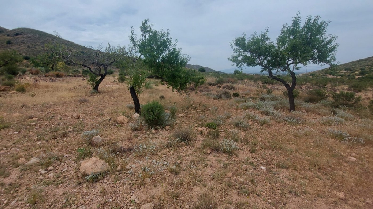  till salu tomt La Loma Campo De Cartagena 1