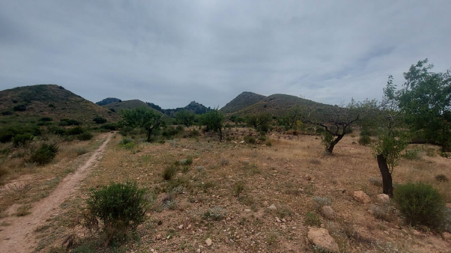 till salu tomt La Loma Campo De Cartagena 2