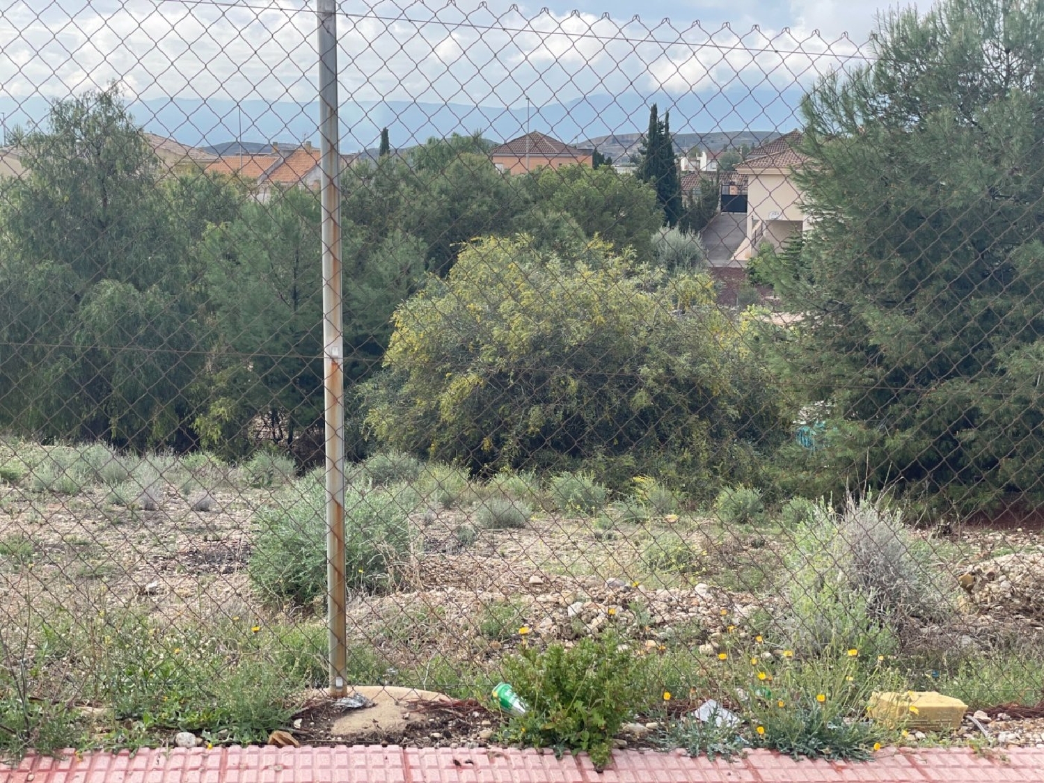 till salu tomt La Loma Vega Media Del Segura 3