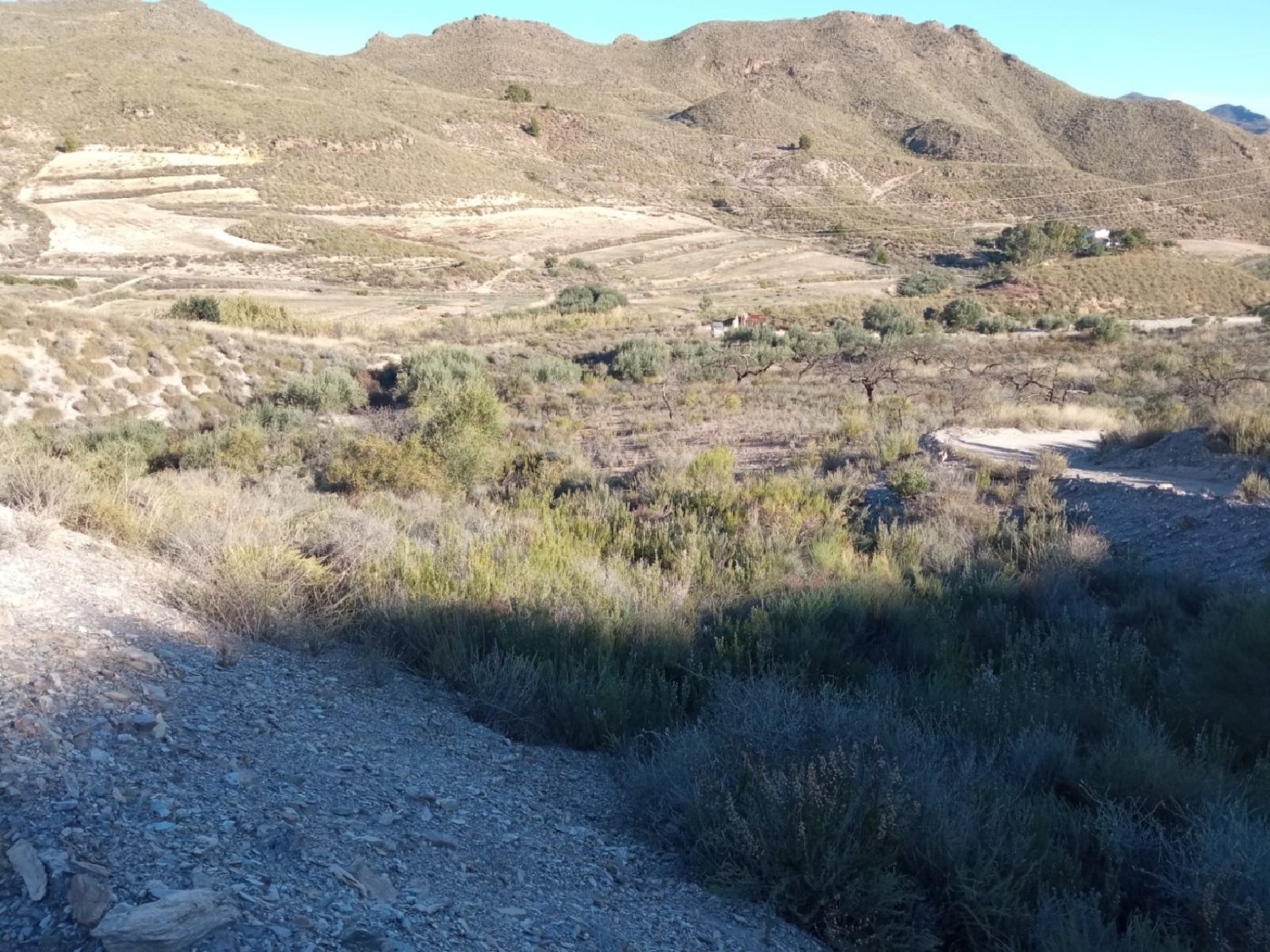  for sale plot Los Cañavates Bajo Guadalentín 7