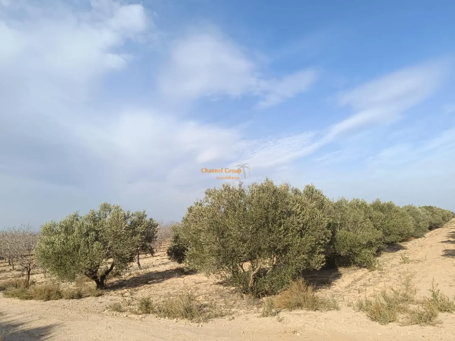 for sale plot La Marina Baix Vinalopó 2