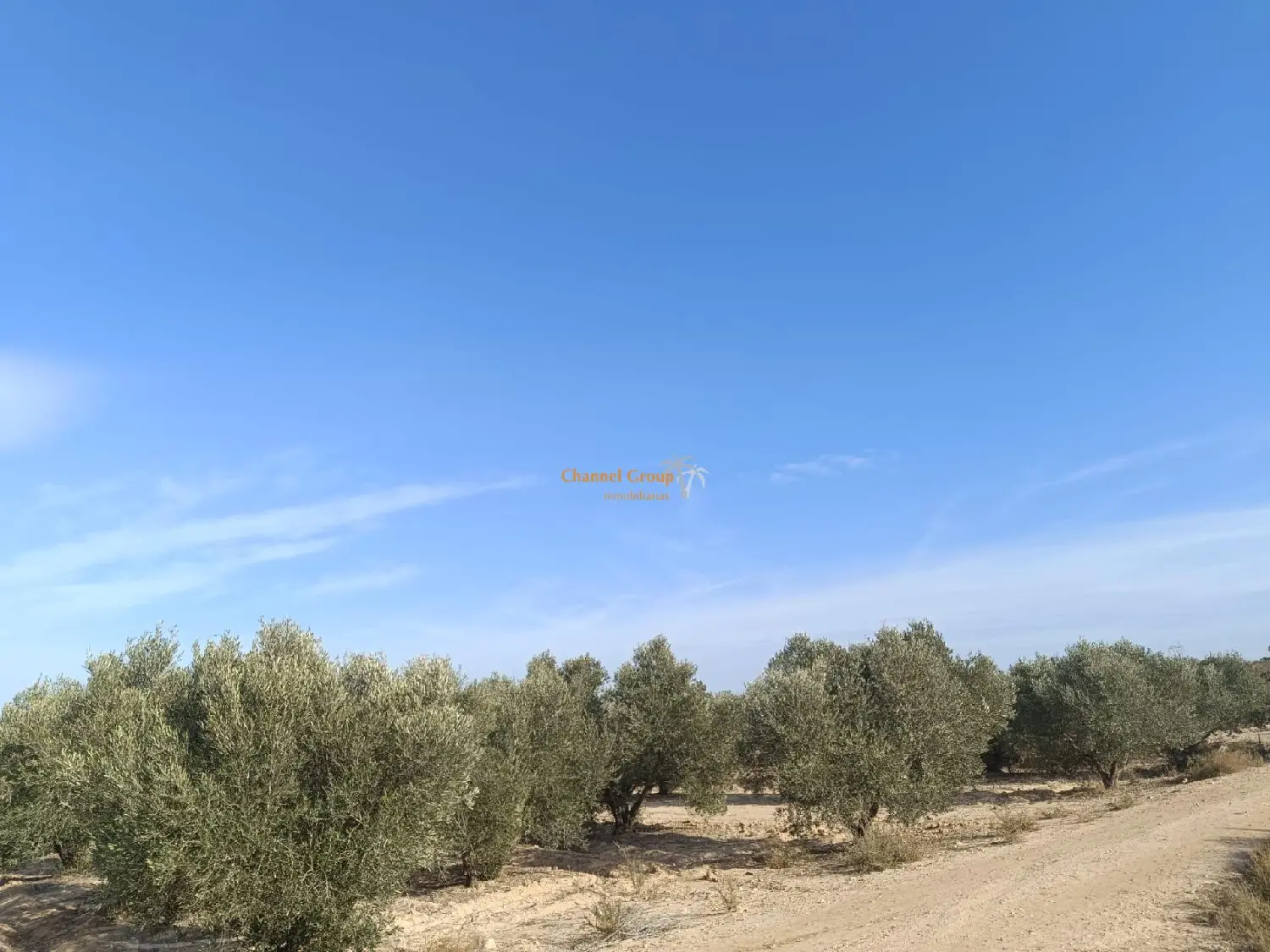  for sale plot La Marina Baix Vinalopó 4