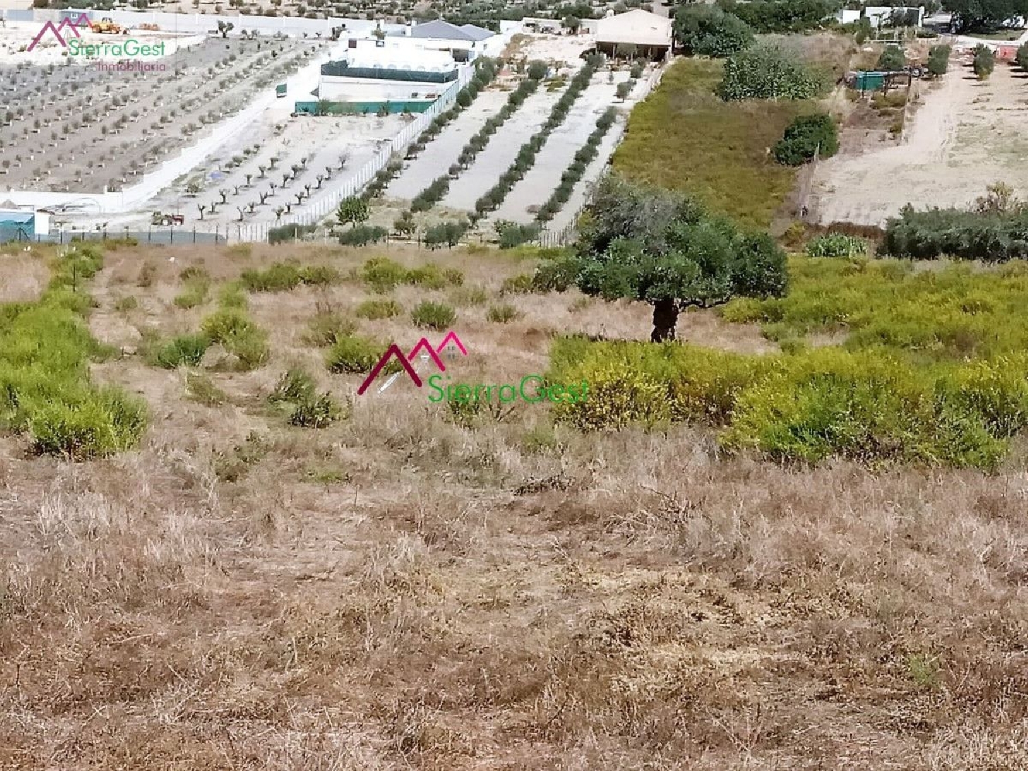 till salu tomt La Misericordia Sierra De Cádiz 2