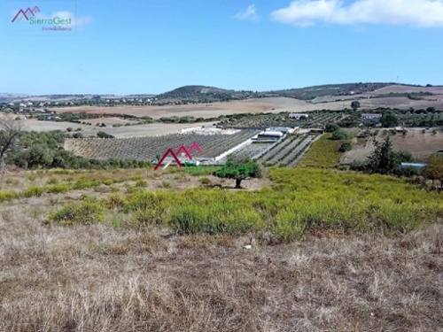 La Misericordia Sierra De Cádiz tomt foto 6252537
