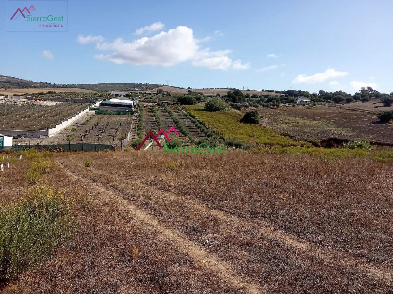  till salu tomt La Misericordia Sierra De Cádiz 4