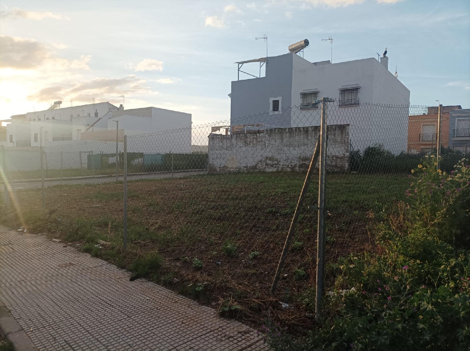 till salu tomt La Monta-Laparrita Vega Del Guadalquivir 3