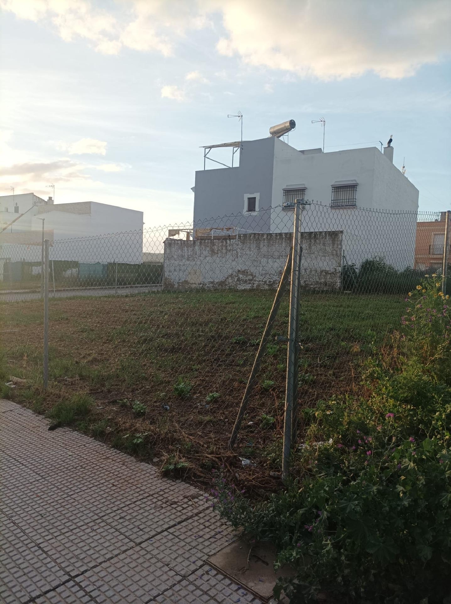 till salu tomt La Monta-Laparrita Vega Del Guadalquivir 2