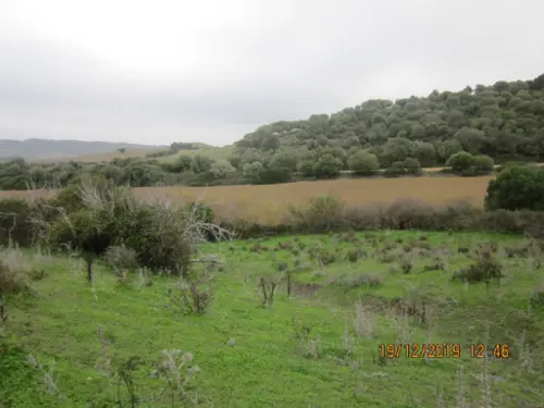Jandilla Janda (La) tomt foto 6189189