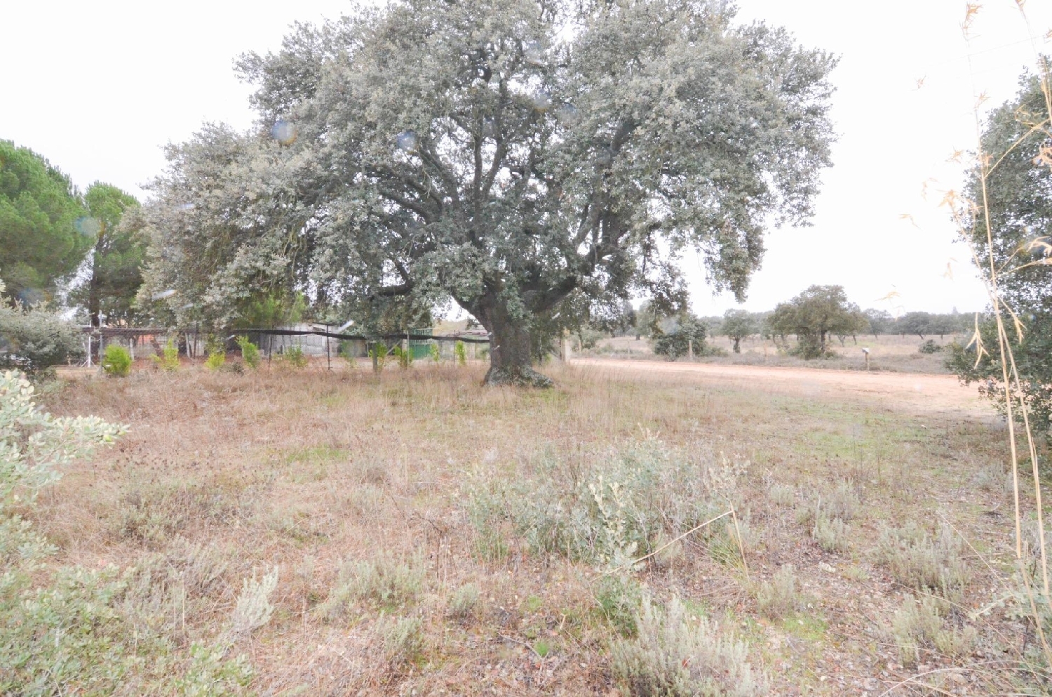  till salu tomt La Pinilla Campo De Salamanca 4