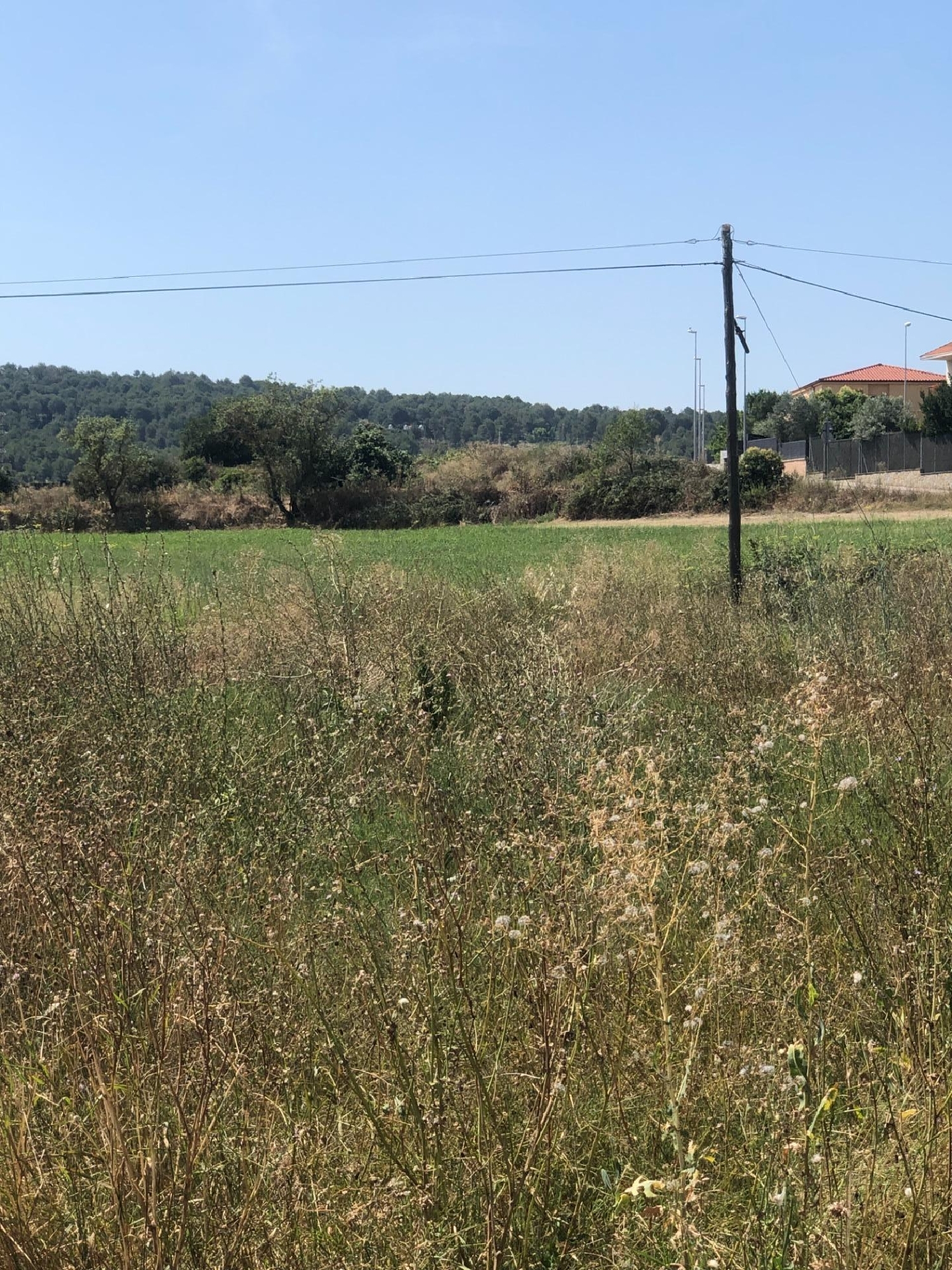 till salu tomt La Planota Bages 2