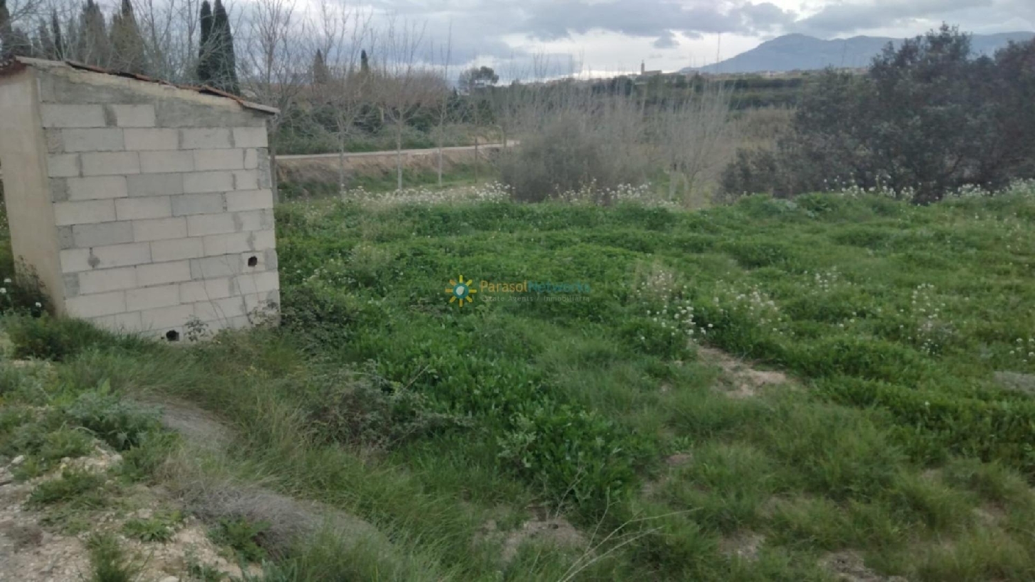 till salu tomt La Pobla Del Duc Vall D'albaida 3