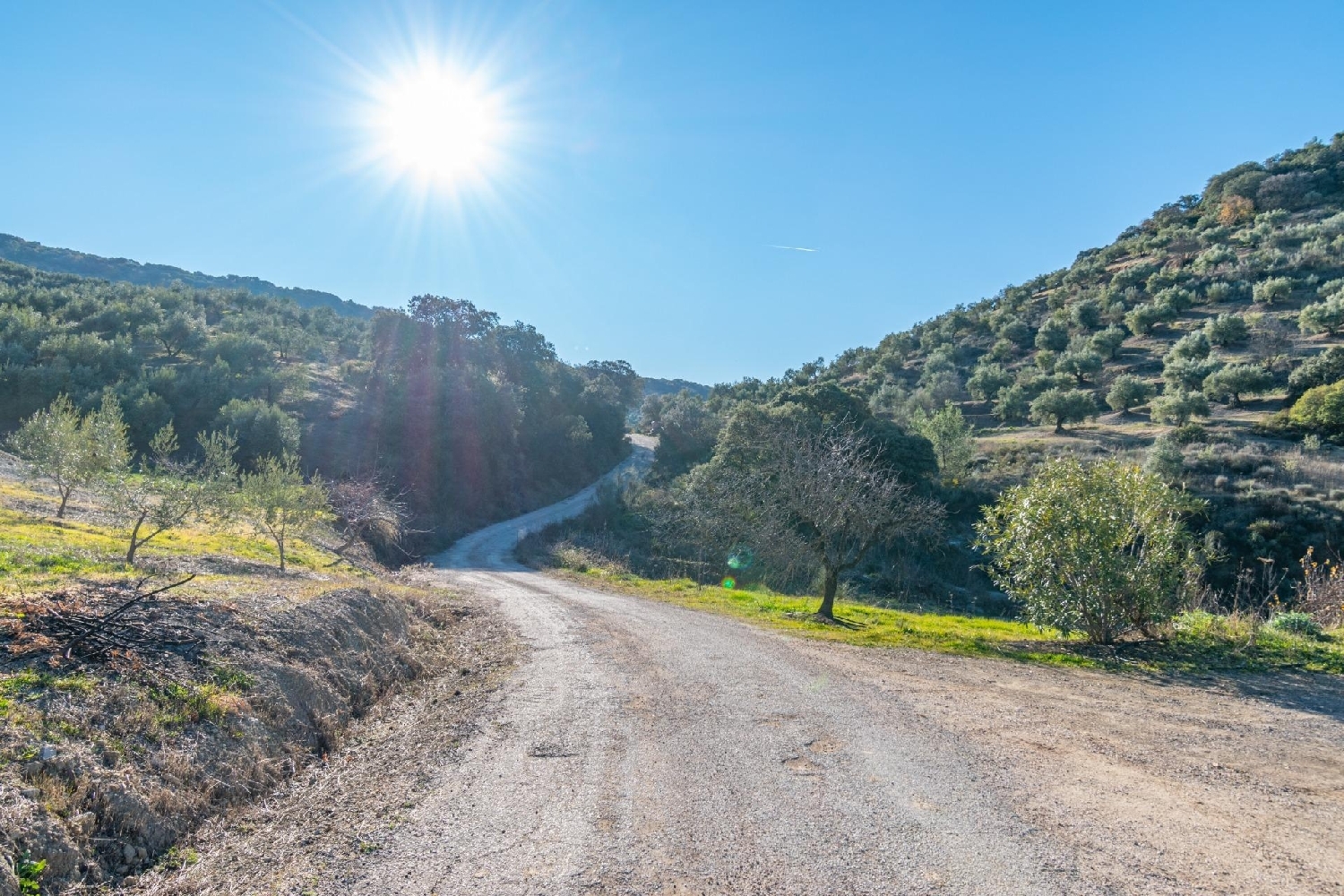  till salu tomt La Agracea Sierra De Segura 1