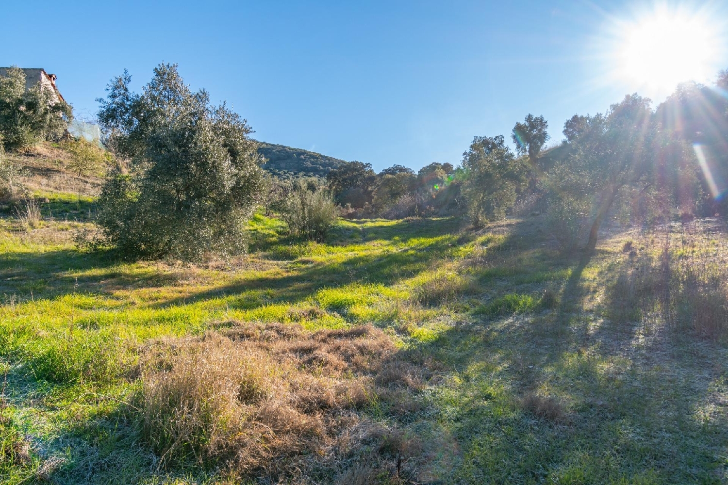  till salu tomt La Agracea Sierra De Segura 7