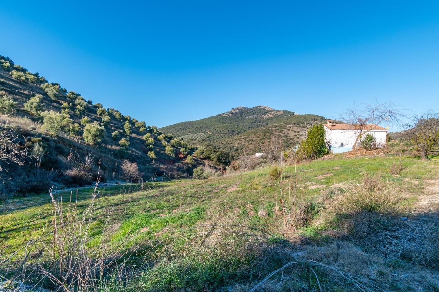 till salu tomt La Agracea Sierra De Segura 4