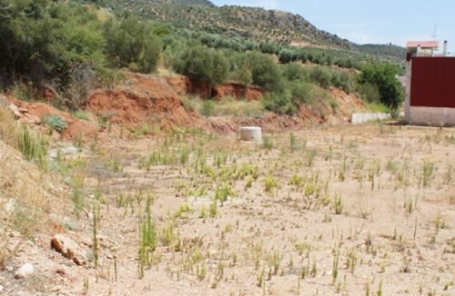 La Puerta De Segura Sierra De Segura tomt foto 6242805