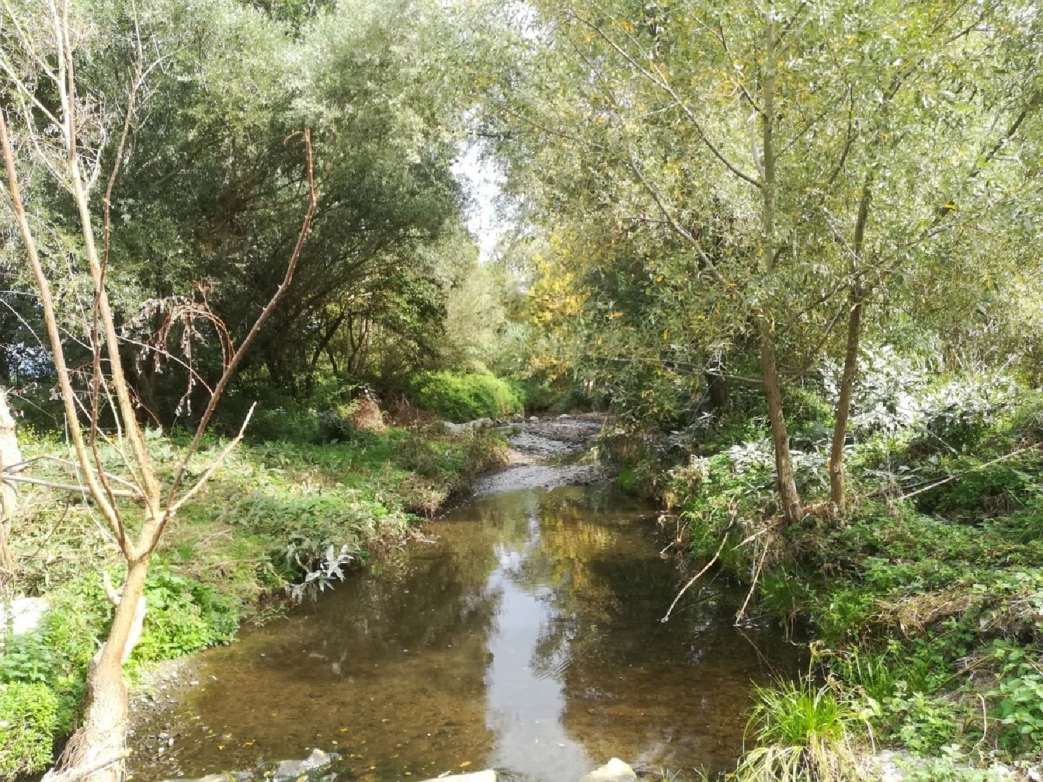  till salu tomt La Roca Del Valles Vallès Oriental 6