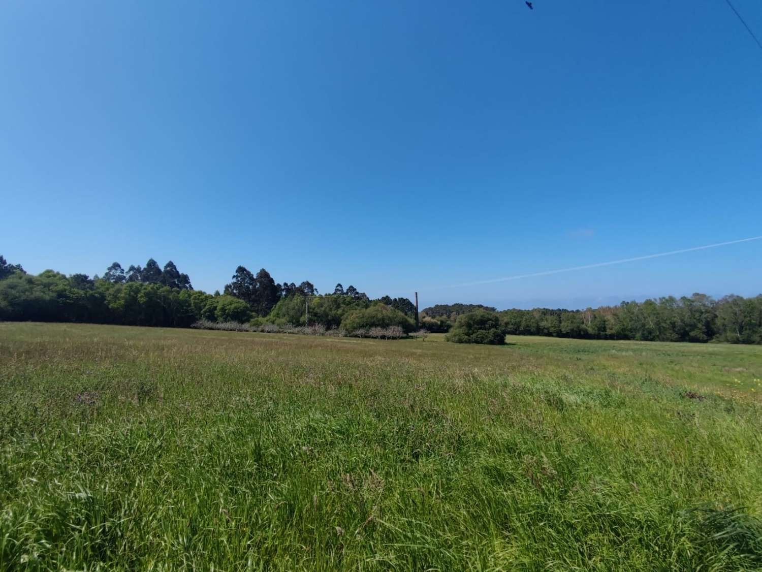  till salu tomt Palomares Sierra De Béjar 2