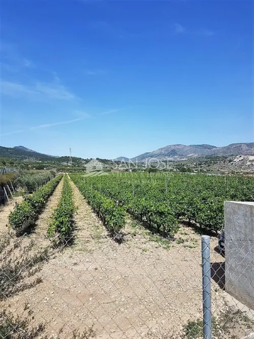 La Romana Vinalopó Mitjà tomt foto 6191247