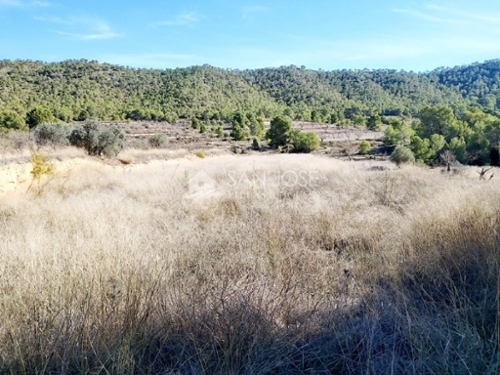 La Romana Vinalopó Mitjà tomt foto 6227115