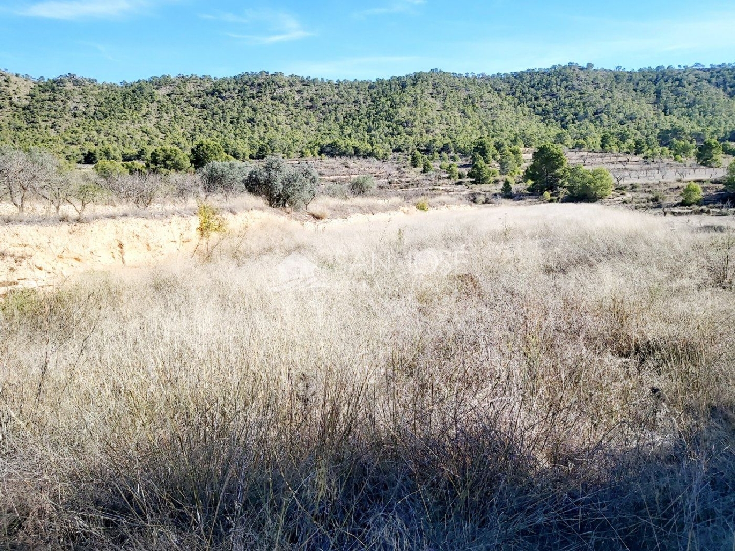 till salu tomt La Romana Vinalopó Mitjà 3