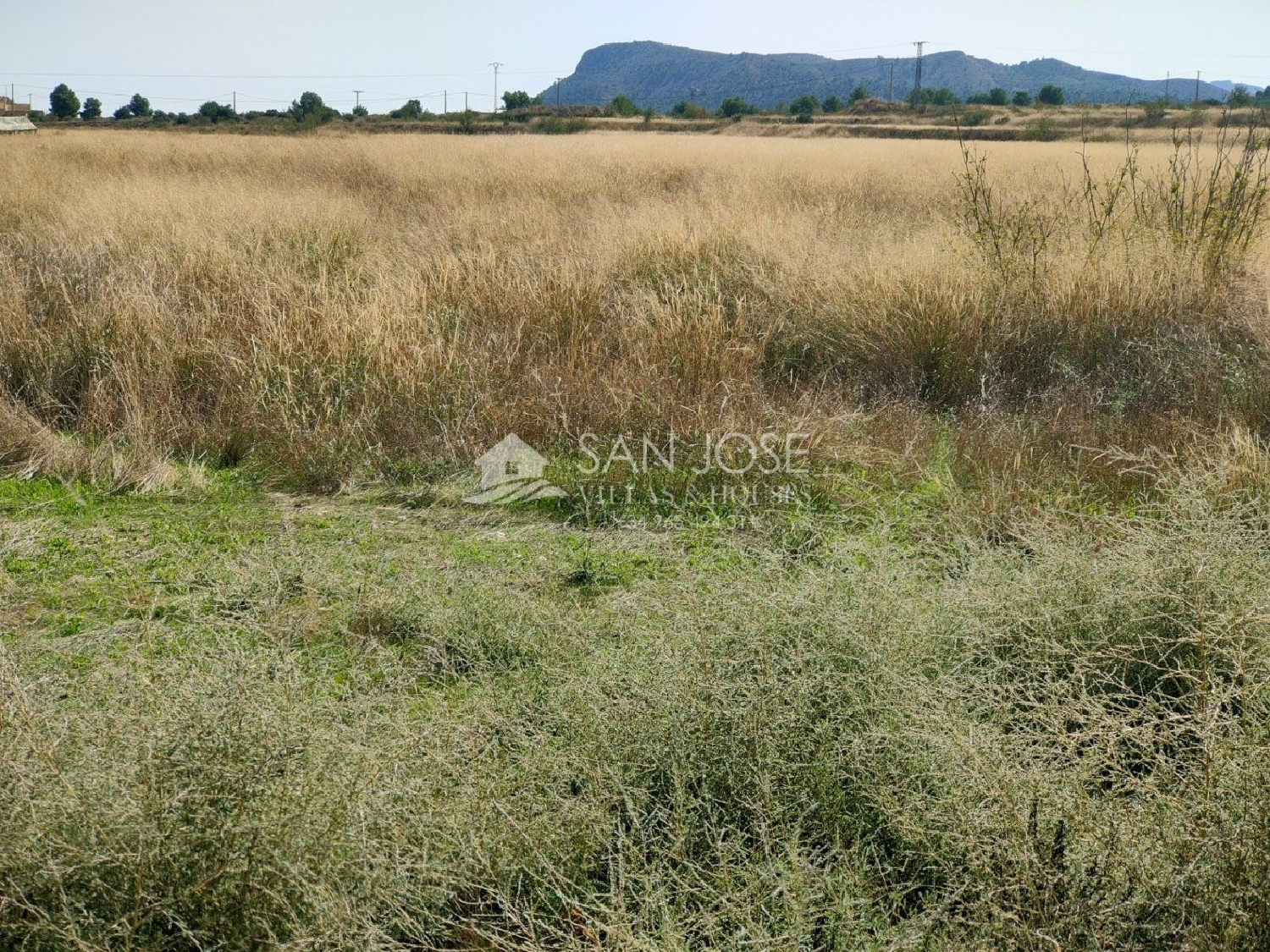  en venta terreno La Romana Vinalopó Mitjà 6