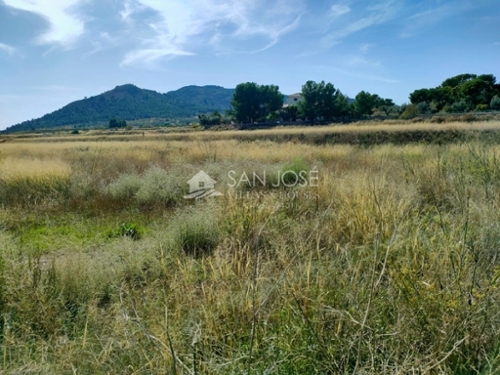 La Romana Vinalopó Mitjà tomt foto 6227247