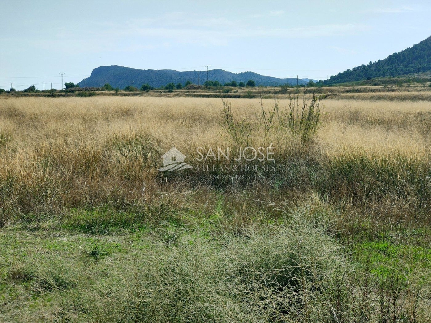  en venta terreno La Romana Vinalopó Mitjà 5