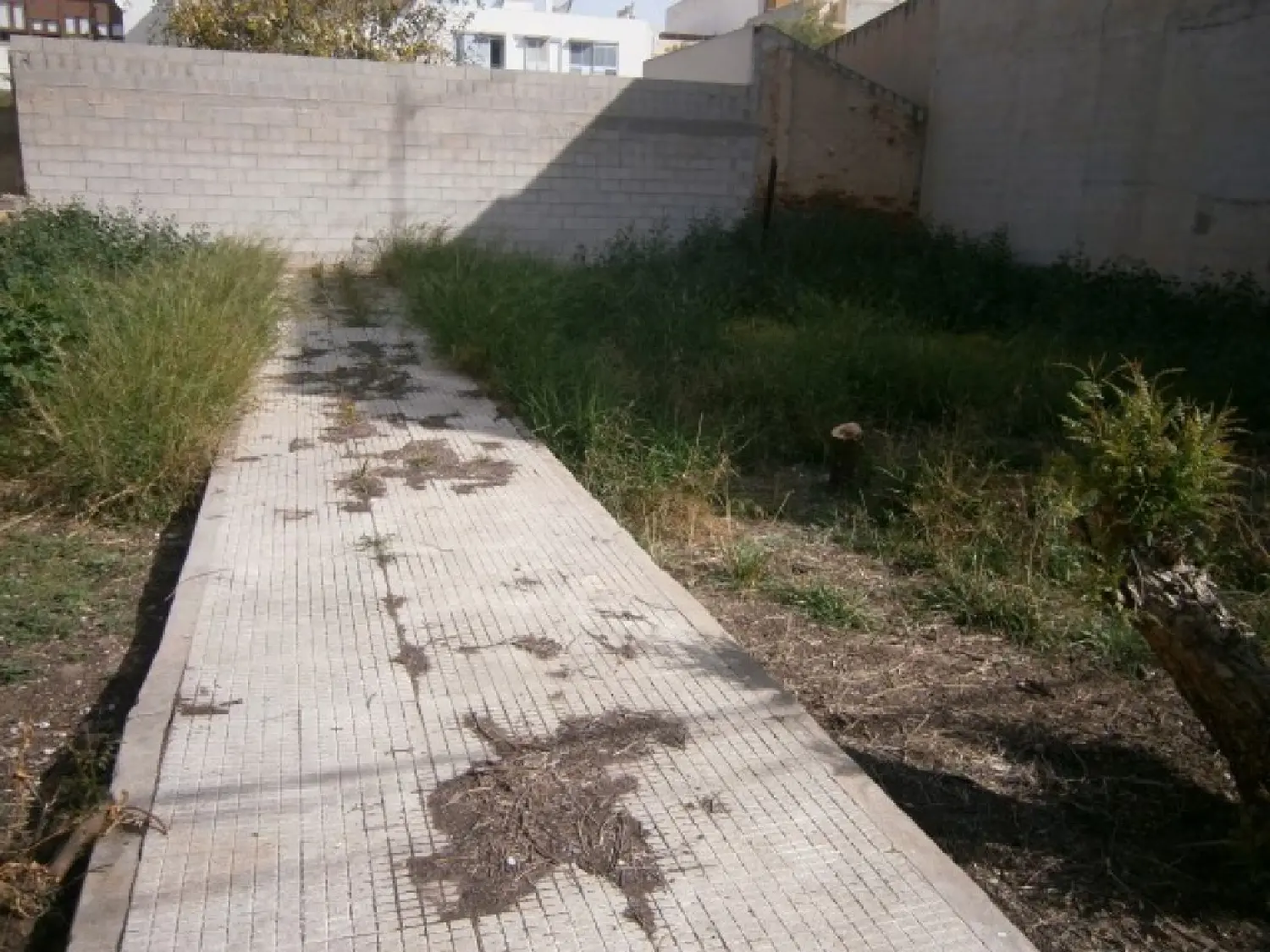  till salu tomt El Derramao Vinalopó Mitjà 1