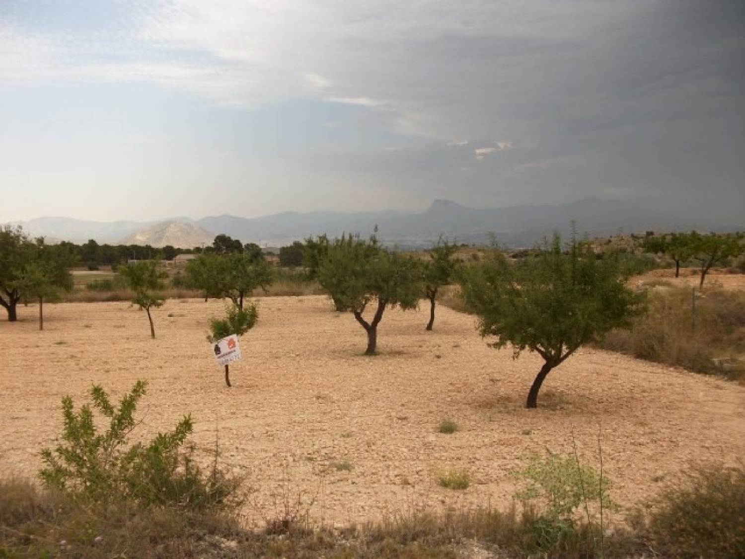  till salu tomt Cases De Sanchis Vinalopó Mitjà 7