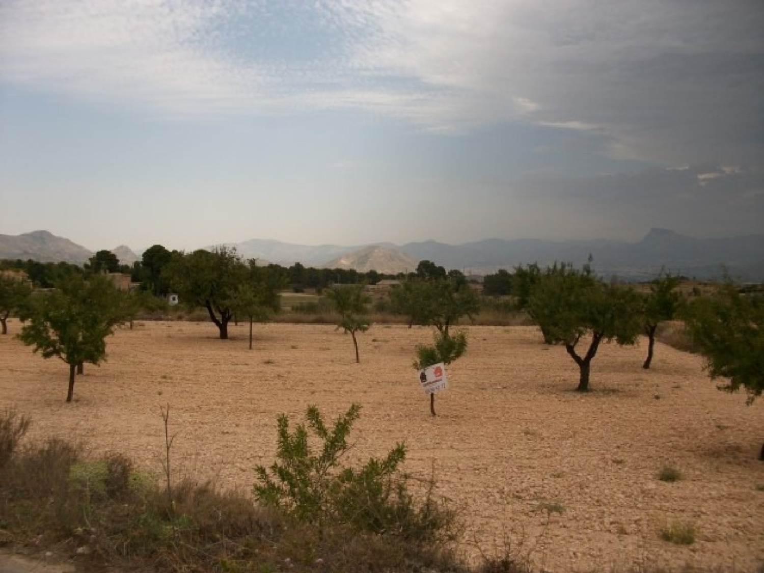  till salu tomt Cases De Sanchis Vinalopó Mitjà 5